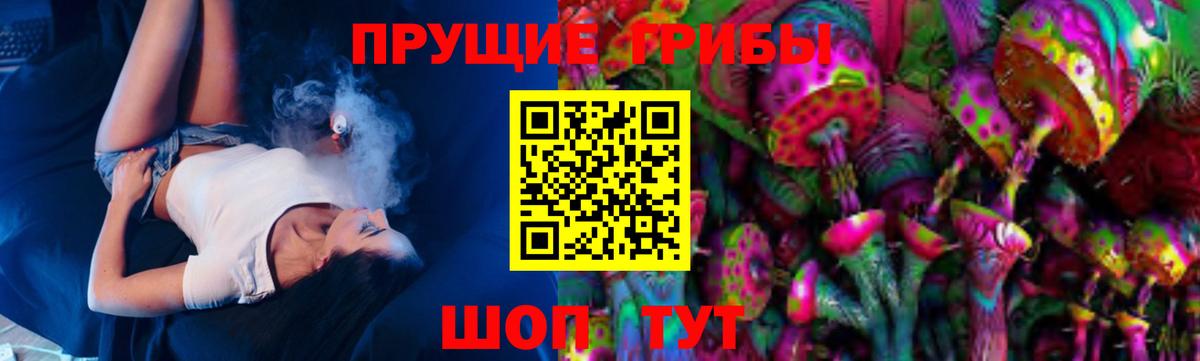 Ногинск  где купить   Вход с VPN  Псилоцибиновые грибы ЛСД 
